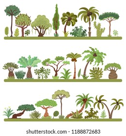 Collection of tropical trees, palms and other tropical exotic plants vector illustration set. Lush forest. Rainforest jungle trees, plants, shrubs, leaves and bushes, paradise beach resort crooked