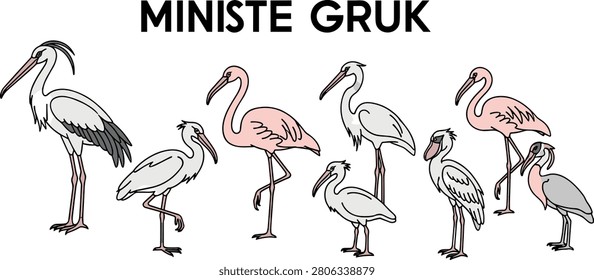 Collection of tropical wading birds vector illustrations featuring flamingo stork crane heron ibis and spoonbill wildlife graphics with text.