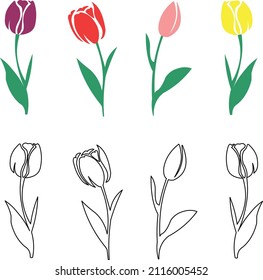 Collection of tulip flowers. Isolated pattern. Set of colored blooming tulips. Vector drawing. Botanical decorative element. Tulip hand-drawn line art flowers illustration