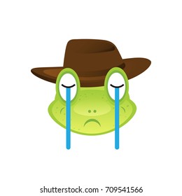 a collection of turtle emotions with a white background