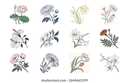 Uma coleção de doze elegantes ilustrações florais com flores populares para design