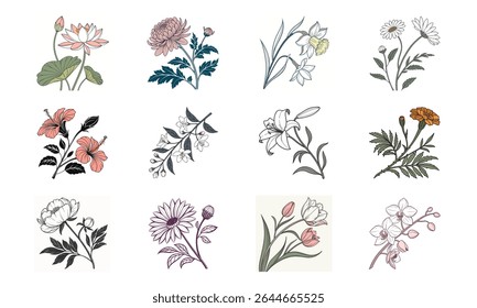 Uma coleção de doze elegantes ilustrações florais com flores populares para design