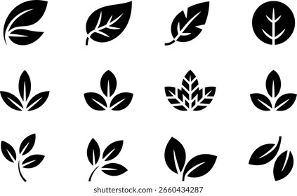 Colección de doce iconos minimalistas de hojas negras; naturaleza, orgánico, eco.
