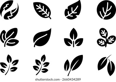 Colección de doce iconos minimalistas de hojas negras; naturaleza, orgánico, eco.