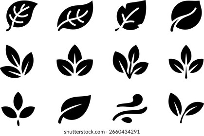 Colección de doce iconos minimalistas de hojas negras; naturaleza, orgánico, eco.