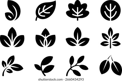 Colección de doce iconos minimalistas de hojas negras; naturaleza, orgánico, eco.