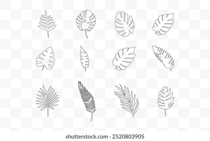 Uma coleção de doze ilustrações de folhas tropicais delineadas, incluindo variedades de monstros e palmeiras, desenhadas em um estilo minimalista em um fundo branco para projetos simples e naturais.