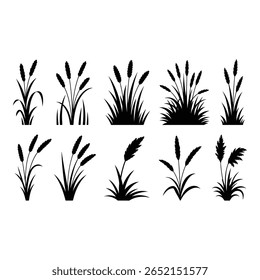 Coleção de doze elementos de design de vetor de grama de silhueta preta estilizada e ilustrações de trigo