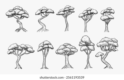 A collection of twelve unique hand drawn tree illustrations in black and white showcasing various tree shapes and styles.