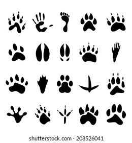 Collection Vector Bear Paws Stock Vector (Royalty Free) 632807372