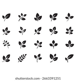 Collection of twenty different leaf branch silhouettes showcasing nature and plant life for designs