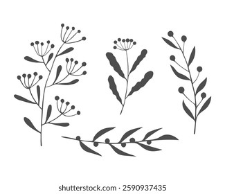 Collection of twigs and sprigs summer meadow. Hand drawn silhouette plants