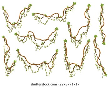 Collection of twisted wild lianas branches. Jungle vine plants. Rainforest flora and exotic botany. Woody natural branches