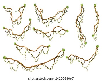 Collection of twisted wild lianas branches. Jungle vine plants. Rainforest flora and exotic botany. Woody natural branches