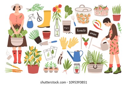 Collection of two female gardeners and gardening tools - watering can, fruit baskets, seeds, pruner, trowel, rubber boots, gloves, seedlings, potted plants. Cartoon vector illustration in flat style