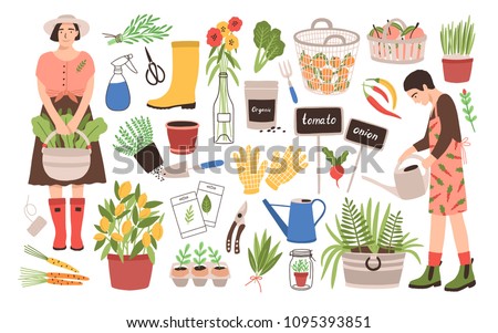 Collection of two female gardeners and gardening tools - watering can, fruit baskets, seeds, pruner, trowel, rubber boots, gloves, seedlings, potted plants. Cartoon vector illustration in flat style