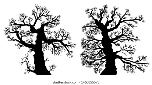 Collection: Two old trees - vector, black, isolated