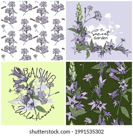 Collection of two print and two seamless pattern. Wildflowers. Blooming grass. Bellflowers (Campanula) and Pink (Dianthus campestris). Textile composition, hand drawn style print. Vector illustration.