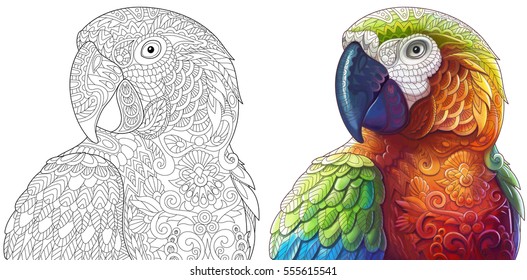 Collection of two stylized macaw (ara) parrots. Monochrome and colored versions. Freehand sketch for adult anti stress coloring book page with doodle and zentangle elements.