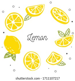 The collection type of sliced and full lemon. The shape of leaves. illustion 
 lemon in flat vector style.