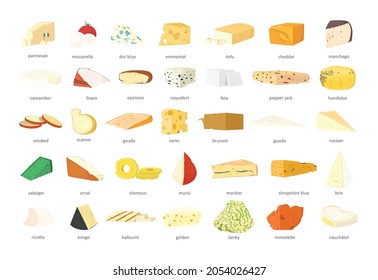 Collection of types of cheeses in a realistic style.