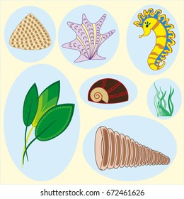 Collection of undersea nature