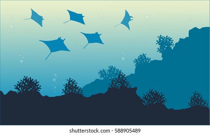 Collection of underwater landscape with stingray