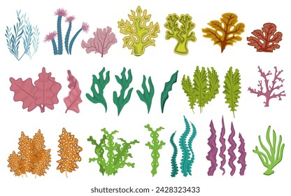 Collection of underwater seaweed and plants. Vector illustration.