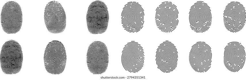 Collection of unique fingerprint vectors, essential for security systems and biometrics protection. Dactylograms are isolated, perfect for identity verification concepts.