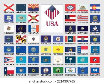 Collection of US flags isolated on light grey background. Vector illustration 