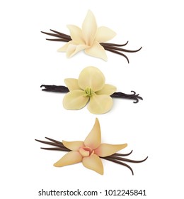 Collection of vanilla flower with pods.