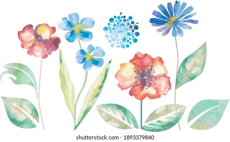 Colección de flores variables en forma de acuarela
