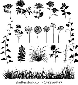 Collection of variable plants and flowers