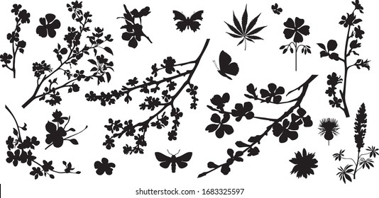 Collection of variable plants and flowers - silhouettes
