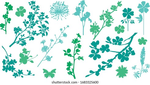 Collection of variable plants and flowers - silhouettes
