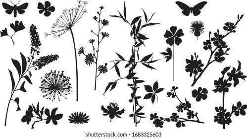 Collection of variable plants and flowers - silhouettes
