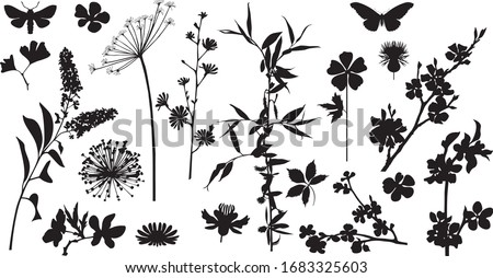 Similar – Image, Stock Photo A meadow plant silhouette in the sunset