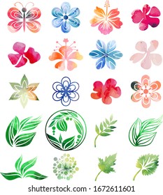 Colección de plantas variables y flores en forma de acuarela