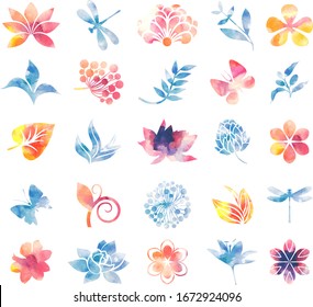 Collection of variable plants and flowers in watercolor style