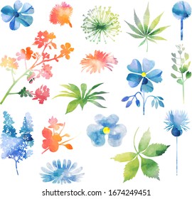 Colección de plantas variables y flores en forma de acuarela
