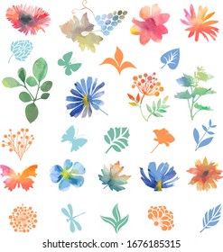Collection of variable plants and flowers in watercolor style