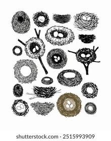 A collection of varied bird nests, some on branches, intricately sketched with different textures and patterns, centered on a white backdrop.