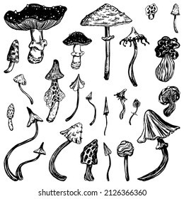 107,621 Mushroom drawing Images, Stock Photos & Vectors | Shutterstock