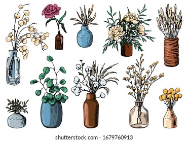 Colección de variados jarrones, botellas y jarras de flores y plantas. Ilustración vectorial dibujada a mano. Conjunto botánico de época. Elementos florales y coloridos decorativos aislados en blanco. Usable para el diseño.