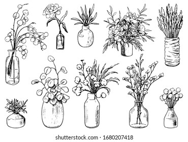 Collection of varied vases, bottles, and jars of flowers and plants. Hand drawn vector illustration. Vintage botanical set. Decorative floral outline elements isolated on white. Usable for design.