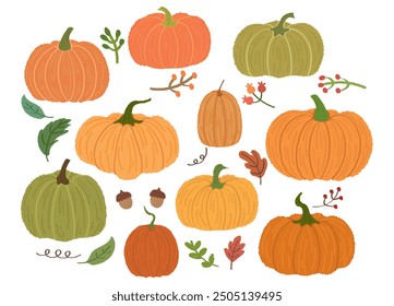 Collection of variety hand drawn pumpkin in flat. Fall cozy cartoon style elements set. Hello autumn theme. Cute pumpkin and leave, acorns in warm natural fall colors. Halloween squash harvest gourds.