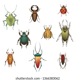 Collection of variety insects on white background.