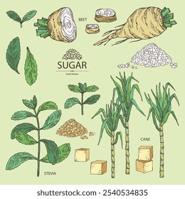 Coleção de vários shugar: açúcar de beterraba, açúcar de cana, açúcar de stevia. Ilustração desenhada à mão vetorial.