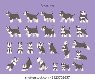 Collection of various actions, movements and poses of a cute schnauzer. Animal illustration in flat design style.