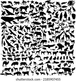 Collection of various animals black vector silhouette  isolated on white background